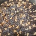 El cooksnap de Mariana Diaz Maneiro cuando hizo Torta De Chocolate 😍😍😍.