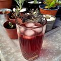 Cooksnap από 𝒳𝓇𝓊𝓈𝑜𝓊𝓁𝒶 𝒦𝑜𝓃𝓉𝑜𝓅𝑜𝓊𝓁𝑜𝓊 στη συνταγή Κρύο τσάι με φρούτα του δάσους (χωρίς ζάχαρη)