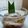 Cooksnap dari Ririn untuk resep Bubur Sagu Rangi