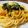 El cooksnap de Bela Carrasco Leiva cuando hizo "Cualquier pasta" con zapallo y jamón.