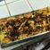 Cooksnap dari desinta rahayu ningtyas untuk resep Bread Puding panggang
