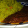 Muas_delicacy's cooksnap of when they made Couscous with veggies and simple stew.