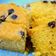 Cooksnap dari Dian Alkahfie untuk resep Bolu panggang moist