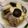 Chiou 的 香菇竹筍雞湯 cooksnap