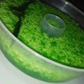 Cooksnap dari Nengg Nur untuk resep Puding lumut pasta pandan