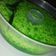 Cooksnap dari Nengg Nur untuk resep Puding lumut pasta pandan