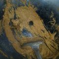 Cooksnap dari Dian Prasetianingrum untuk resep Orem Tempe Tahu