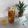 Cooksnap dari Aseh Meilya untuk resep Pineapple lemon tea