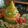Cooksnap dari Ariestien untuk resep Tumpeng ganteng