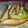 El cooksnap de Antonio-José cuando hizo Boquerones fritos.