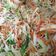 Cooksnap dari Resma Kabakoran untuk resep Bihun Goreng Sayuran