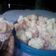 Cooksnap dari nestya tya untuk resep Bolu Kukus ala Mami