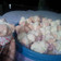 Cooksnap dari nestya tya untuk resep Bolu Kukus ala Mami