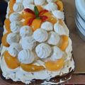 El cooksnap de Irene Cruz Rijo cuando hizo Chajá rápido.
