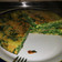 El cooksnap de Sofía cuando hizo Tortilla de Acelga.