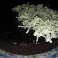 Cooksnap dari eva untuk resep Brownis Kukus Nyoklat No Mixer