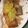 El cooksnap de Vanessa cuando hizo Tacos vegetarianos.