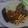 El cooksnap de Gerardo Mejia cuando hizo Chuleta de pernil al horno, con vegetales. LuisFy.