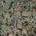 Cooksnap dari cabi imut untuk resep Sayur taoge (lontong balap)