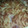 El cooksnap de Yaizacookieeagu cuando hizo Lasaña de patatas.