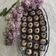 El cooksnap de vickyquimi35 cuando hizo Trufas / Brigadeiro de Coco Con Solo 3 Ingredientes.