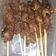 Cooksnap dari Sri Resmi RiandRa untuk resep Sate Maranggi panggang teflon