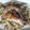 El cooksnap de Carmen Conejo Mico cuando hizo Pasta de camarones al ajillo (con crema).