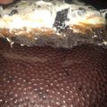 El cooksnap de dylan pernas cuando hizo Torta oreo doble.