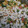 El cooksnap de marthajauregui2000 cuando hizo Calabacitas con elote, con queso y crema.
