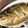 江湖小俠 的 薄鹽香煎黃魚 cooksnap