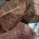 Cooksnap dari vhee indayani untuk resep Milo Bolu Kukus Magic Com