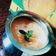 Shruti akka का कुकस्नैप जब उन्होंने मैंगो शेक (mango shake Recipe In Hindi) बनाया था।