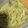 El cooksnap de Valentina Bascur Pinochet cuando hizo Guacamole.