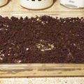 Sherl Curtis Kitchen's cooksnap of when they made Oreo Dirt Pudding.