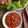 Cooksnap dari dapur Airin untuk resep Sambal Honje / Kecombrang