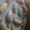 El cooksnap de Noelia Gomez cuando hizo Medialunas sin manteca, sin hojaldre.