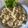 Erka ☺️ Cooksnap-ja, amikor elkészítette a(z) Tojásos nokedli, uborkasalátával ☺️ receptet.
