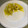 El cooksnap de Octavio Llamas cuando hizo Bacalao fresco al pil pil.