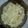 Hillbilly 's cooksnap of when they made Roasted Garlic & Parmesan Cauliflower.