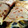 El cooksnap de DelicIANNcook cuando hizo Crepes de champiñones con bechamel al curry.