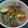 Cooksnap dari Kenny Andraeni untuk resep Cilok jamur bumbu kacang