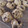 El cooksnap de Agustina Malisani cuando hizo Galletitas con pepitas de chocolate 🍪 Cookies americanas 🇺🇸.