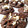 El cooksnap de Joa Lamas cuando hizo Galletas de chocolate y avena.