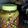 El cooksnap de monona410 cuando hizo Pickle de ají suave.