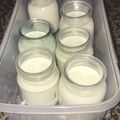 El cooksnap de Laura Sola cuando hizo Yogurt, yogurt griego y queso crema casero 3 en 1!!.