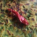 शशि केसरी का कुकस्नैप जब उन्होंने मेथी के परांठे (methi ke parathe recipe in Hindi) बनाया था।