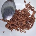 Cooksnap dari kepso cantik untuk resep Mie iblis ala kober