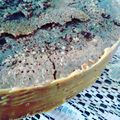 El cooksnap de Natasha Lopata Altman cuando hizo Torta de Chocolate.