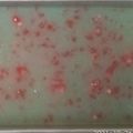 Cooksnap dari Andhi Noer untuk resep Puding Hunkwee