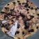 Cooksnap dari Rikhly Desy M untuk resep Puding Roti Tawar Kukus